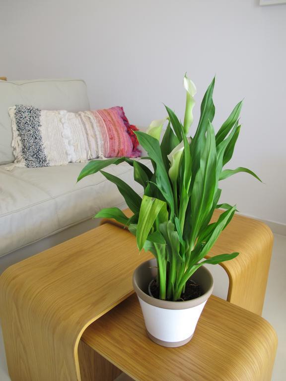 Seafront Calista Beach House With Garden กลีฟาดา ภายนอก รูปภาพ